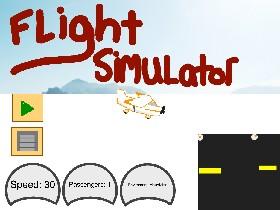 Flight Simulator 1