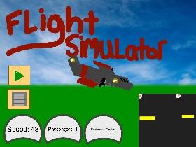 Flight Simulator 1