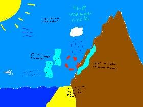 The water cycle 1