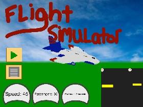 Flight Simulator 1