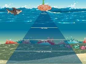 Ecological Pyramid 1