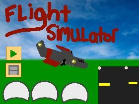 Flight Simulator 1