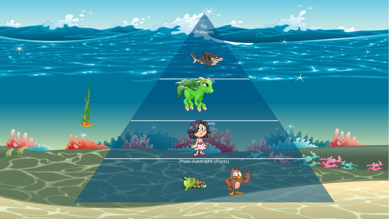 Ocean Ecological Pyramid