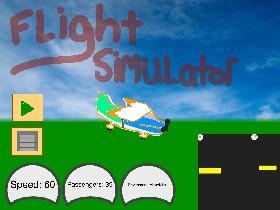 Flight Simulator 1