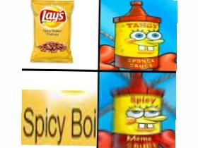 Lays secret ingredient