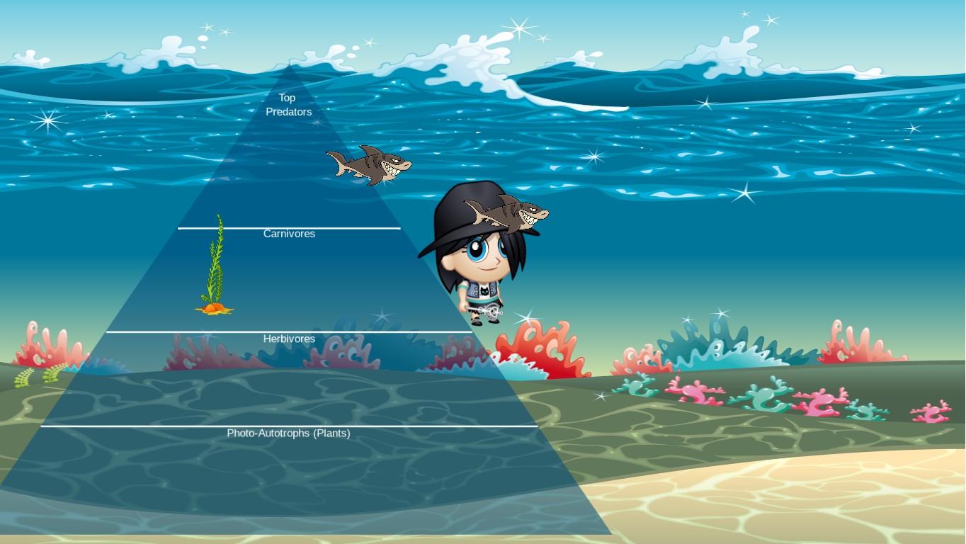 Ocean Ecological Pyramid