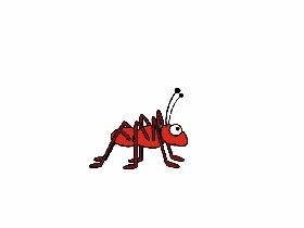 ant