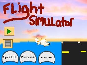 Flight Simulator 2