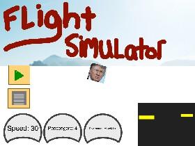 Flight Simulator 1.0