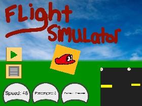 Flight Simulator 1