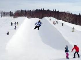 Shaun White Snowboarding