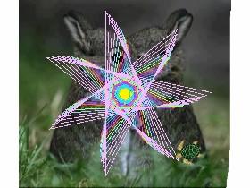 spiral bunny