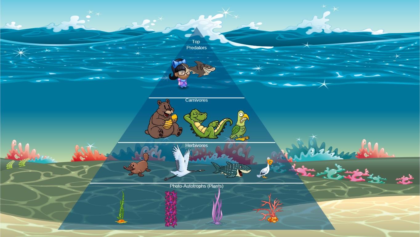 Ocean Ecological Pyramid