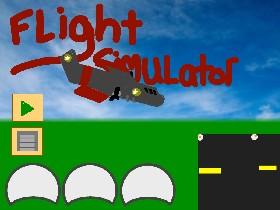 Flight Simulator 1