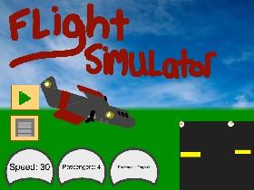 Flight Simulator 1