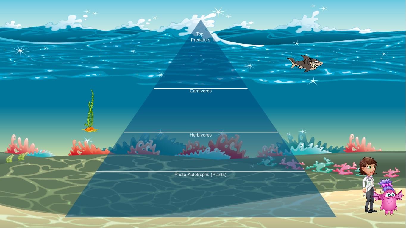 Ocean Ecological Pyramid