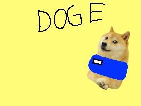 your pet doge smart!