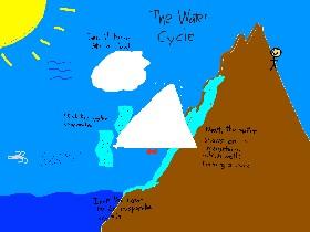 The Water Cycle