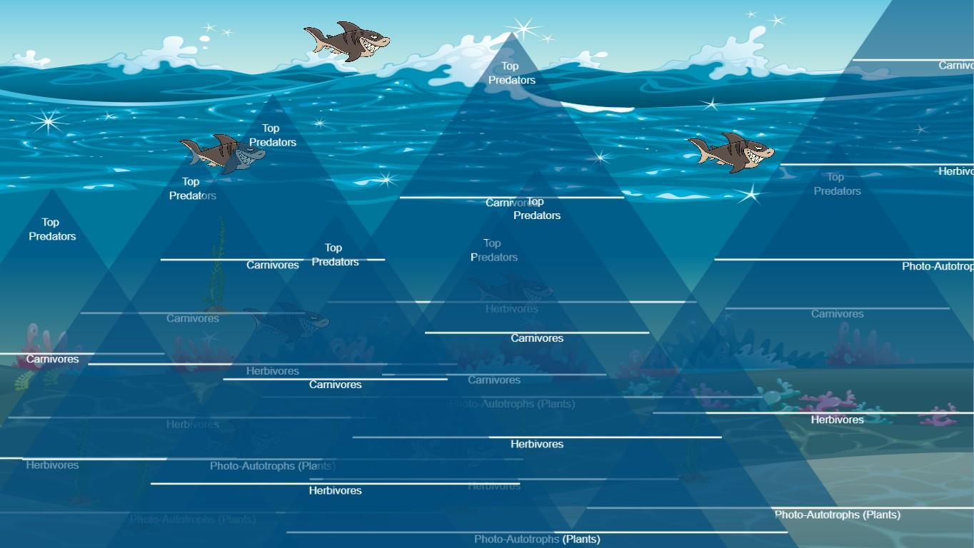 Ocean Ecological Pyramid