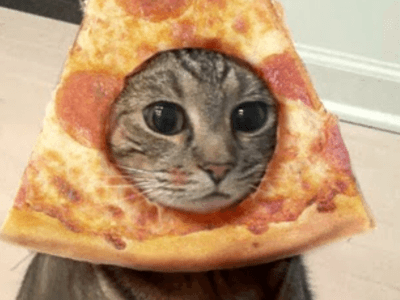derp derp,monsta,pizza cat