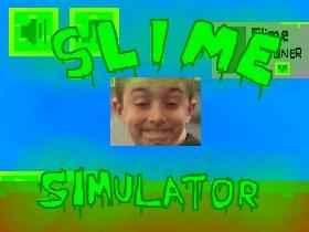 Slime Simulator 1