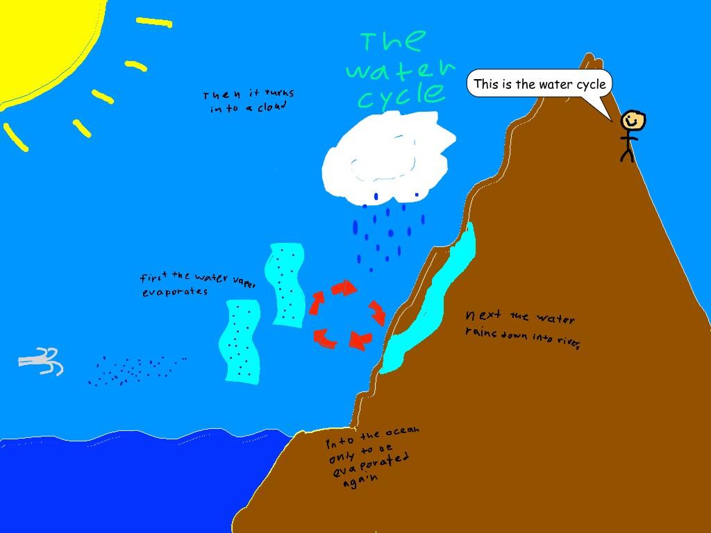 The water cycle