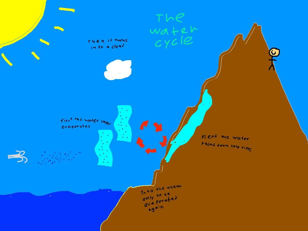 The water cycle 2