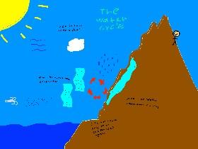 The water cycle 1