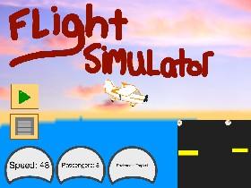 Flight Simulator 1