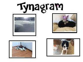 Tynagram, where i went