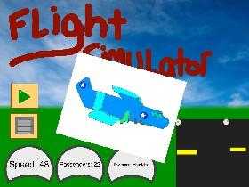 Flight Simulator 1