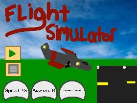 Flight Simulator 2