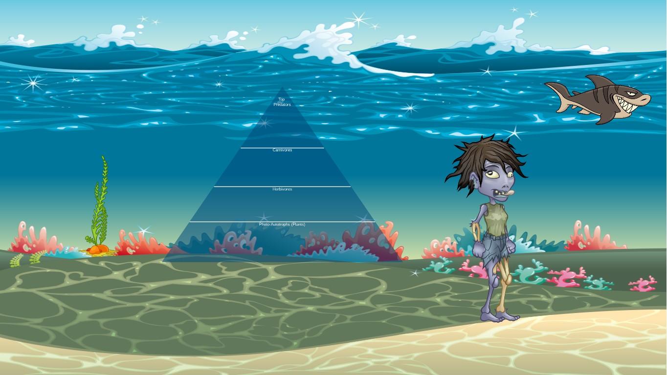 Ocean Ecological Pyramid