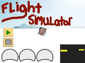 Flight Simulator 1.0 1