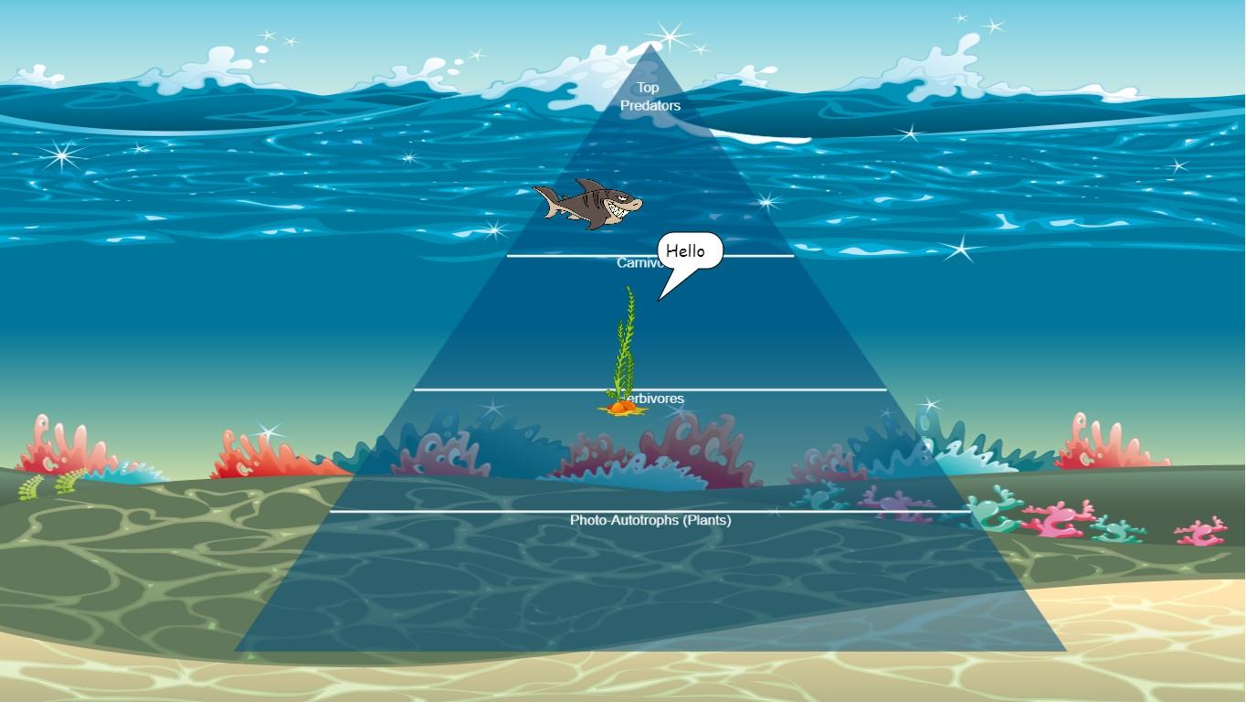 Ocean Ecological Pyramid