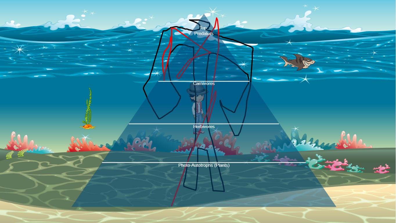 Ocean Ecological Pyramid