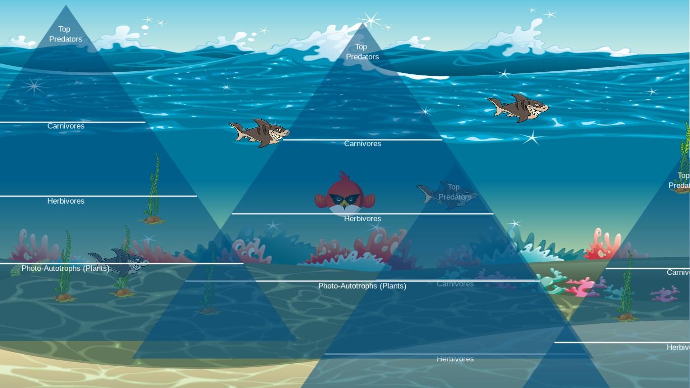 Ocean Ecological Pyramid