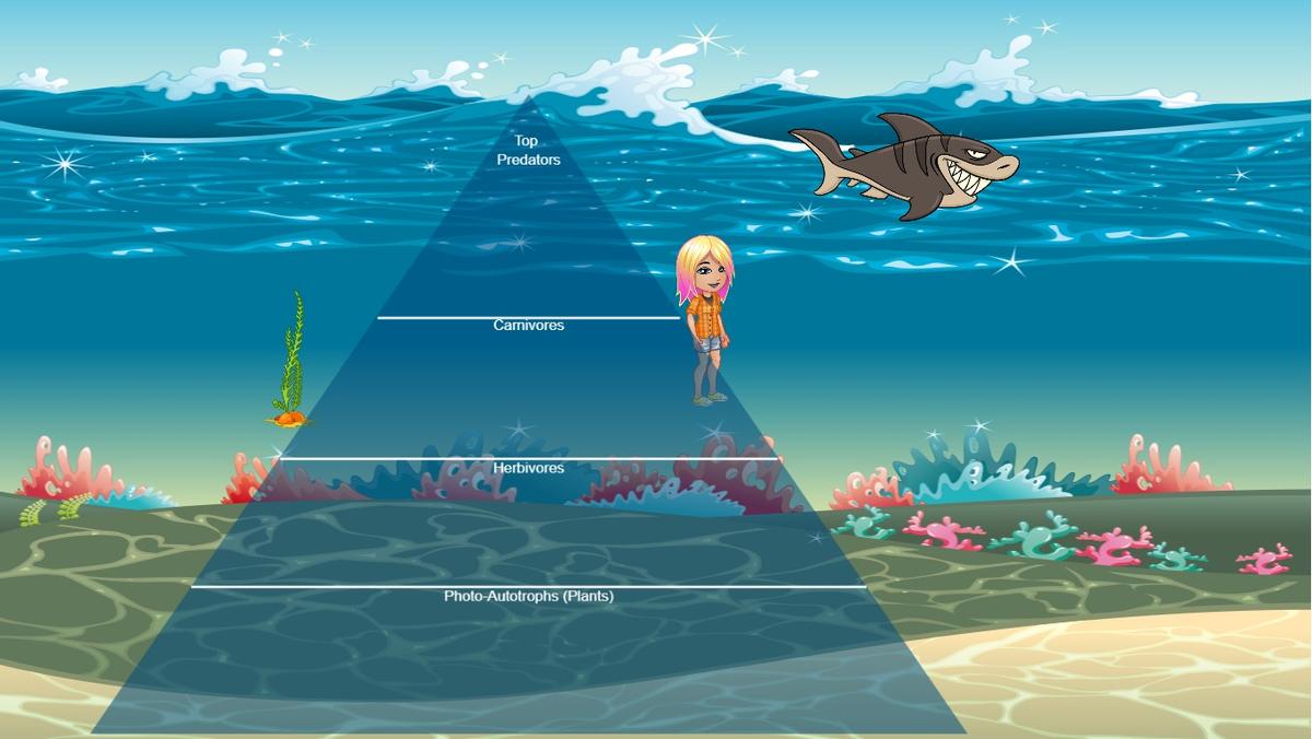 Ocean Ecological Pyramid