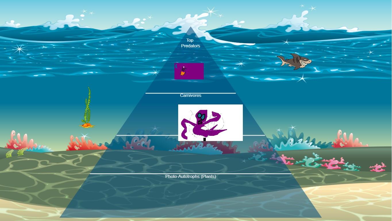 Ocean Ecological Pyramid