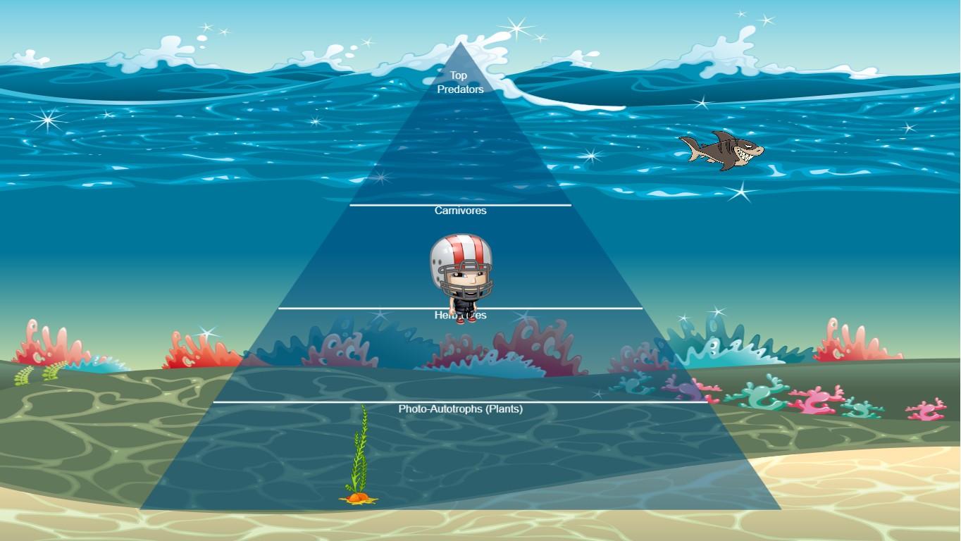 Ocean Ecological Pyramid