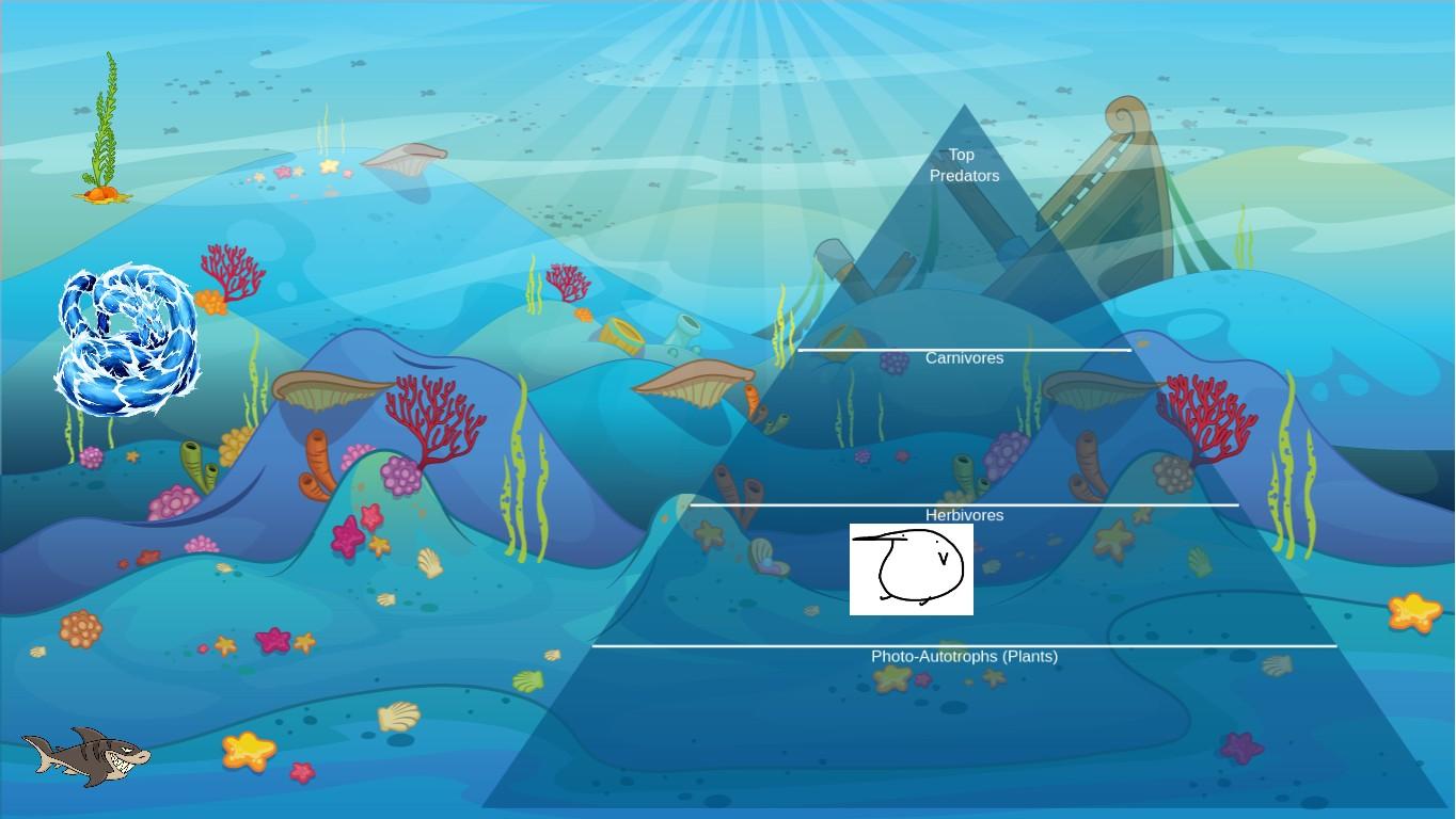 Ocean Ecological Pyramid