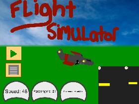 Flight Simulator