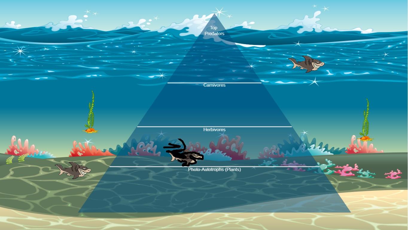 Ocean Ecological Pyramid