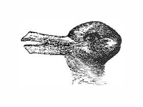 Duck or Rabbit?