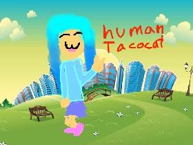 For tacocat