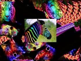 Rainbow animal spin - copy