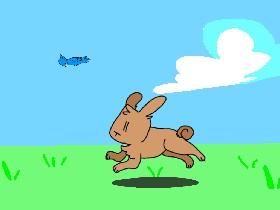 Bunnie runing