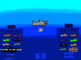 Shark!ppoop 1