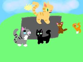 meet the warrior cats 3