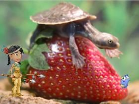 Climb the strawberry